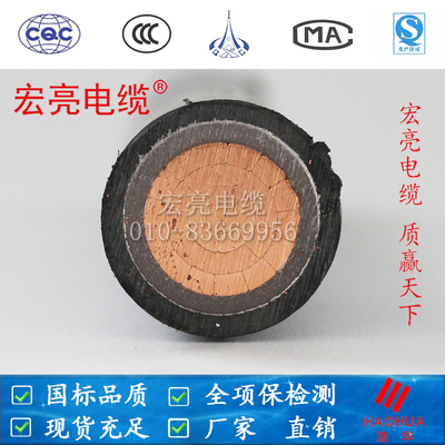 地铁标准WDZB1YJY 1*240宏亮电缆全项保检测