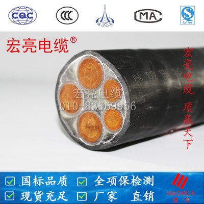 低烟无卤电线电缆 WDZYJY 120平方5芯 国标保检测宏亮电缆